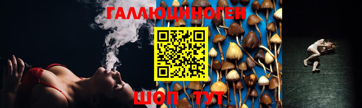 Галлюциногенные грибы мицелий  Вход с VPN  Скопин 